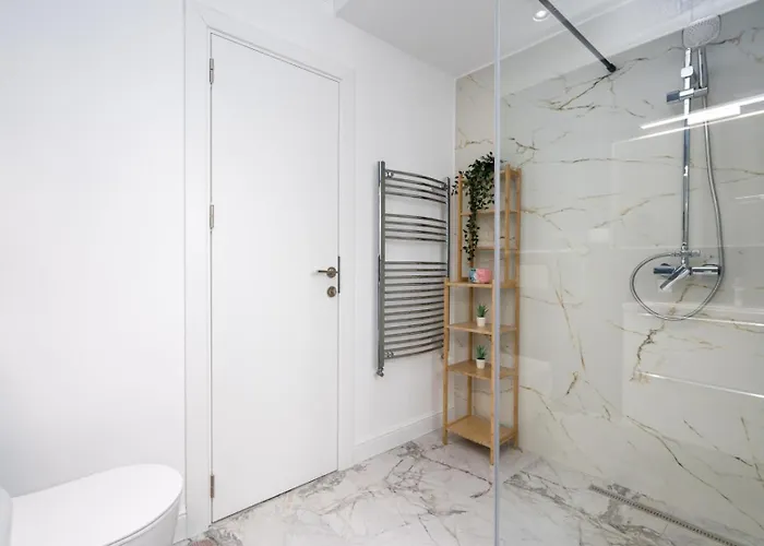 Luxury 2br Calea Victoriei 公寓