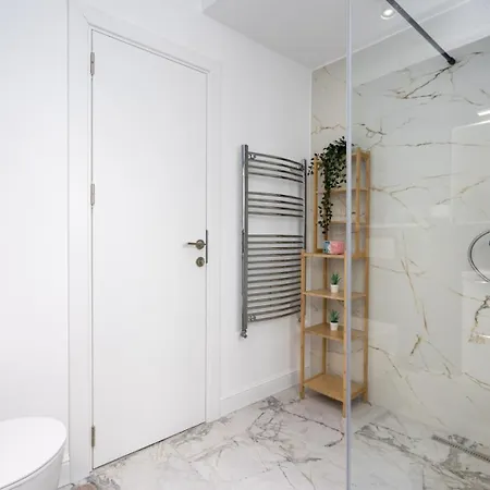 Luxury 2br Calea Victoriei 公寓