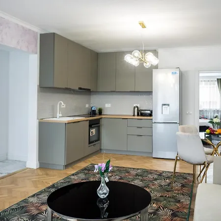 公寓 Luxury 2br Calea Victoriei