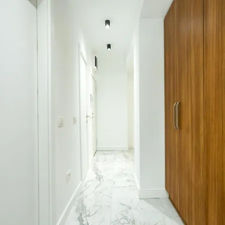 Luxury 2br Calea Victoriei 公寓 *
